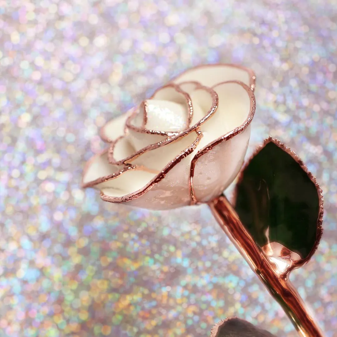Frozen Rose Gold Dipped Rose (Test)