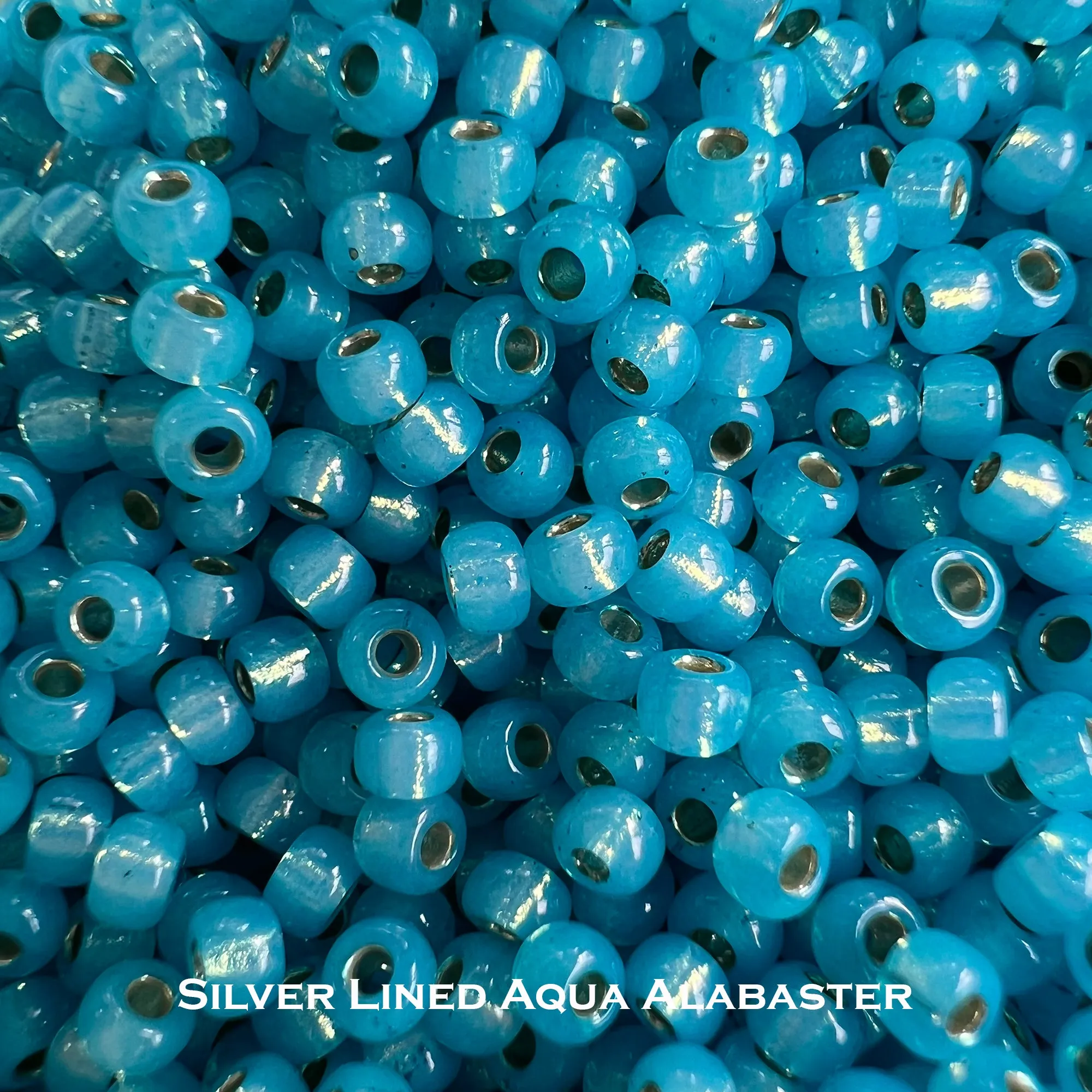 Miyuki Seed Beads 8/0 Silver Lined - choose color