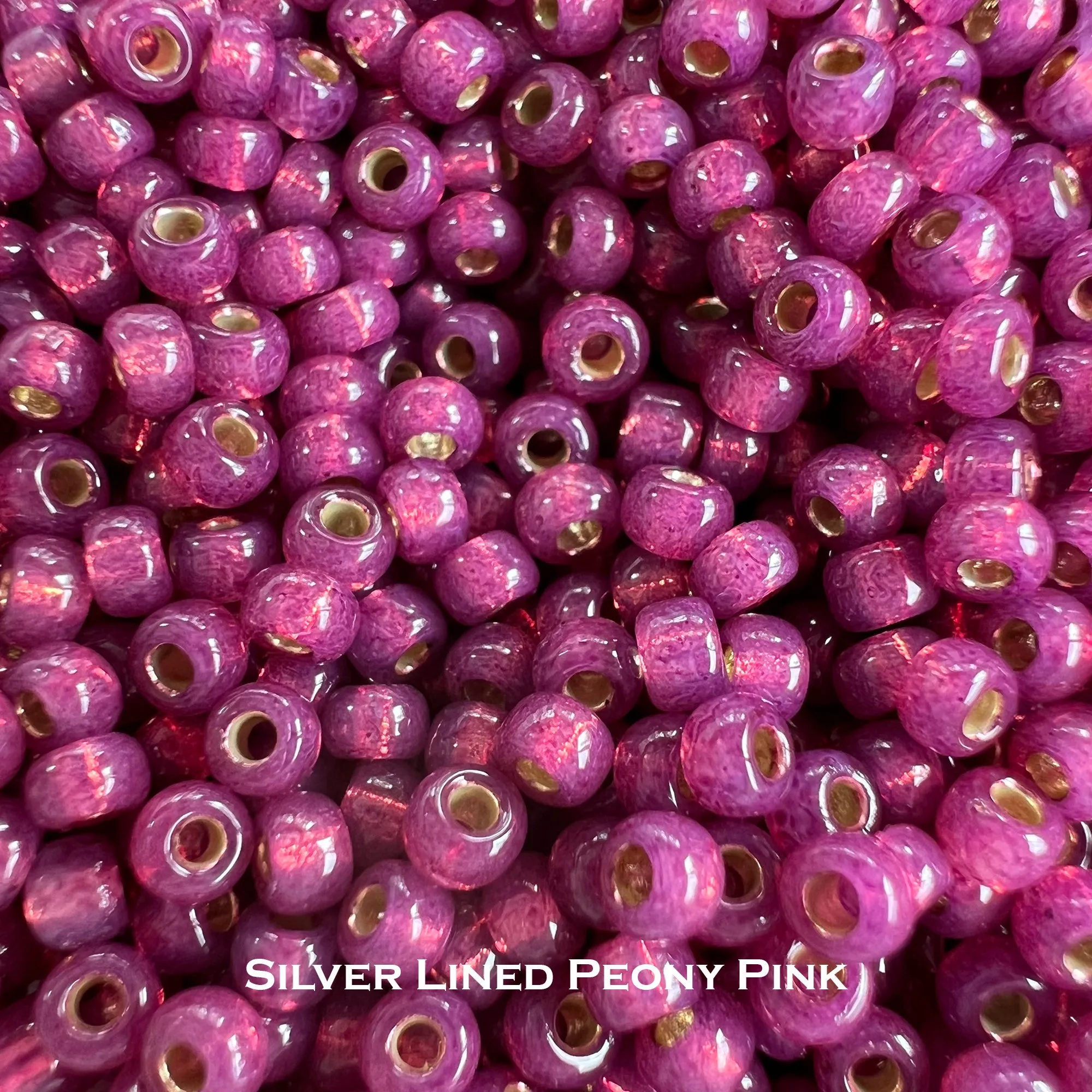 Miyuki Seed Beads 8/0 Silver Lined - choose color